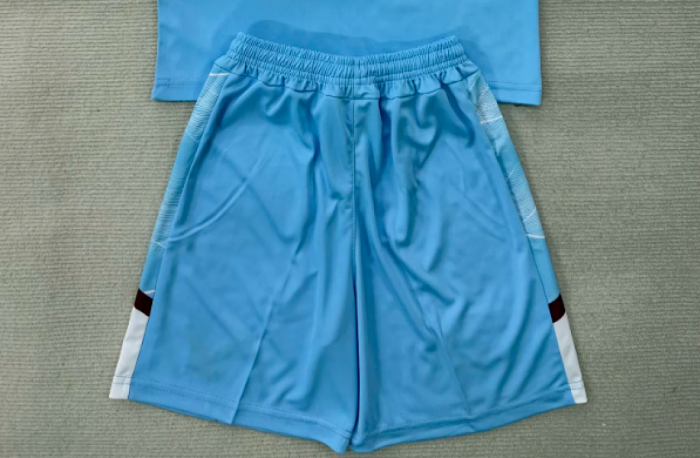 Fan Version 2025-2026 Burnley Away Blue Soccer Shorts Football Shorts