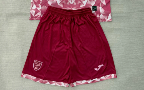 Fan Version 2025-2026 Norwich City Third Away Red Soccer Shorts Football Shorts