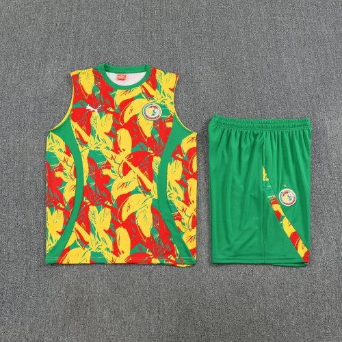 Adult Uniform 2025-2026 Senegal Colorful Soccer Training Vest and Shorts Brasil Football Set