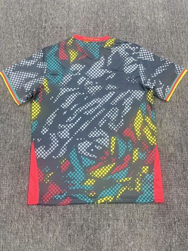 Fan Version 2025 Cameroon Black Soccer Jersey Cameroun Football Shirt