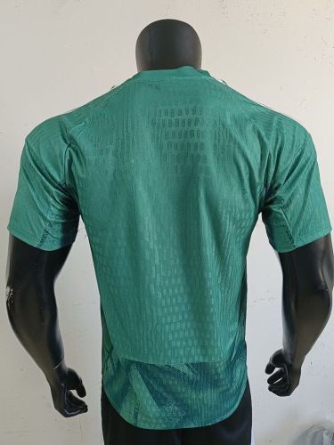 Player Version 2026 Germany Green Goalkeeper Soccer Jersey Football Shirt