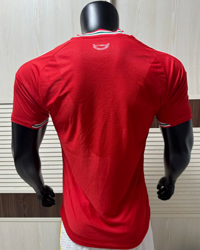 Player Version Wales 2026 Home Soccer Jersey Football Shirt
