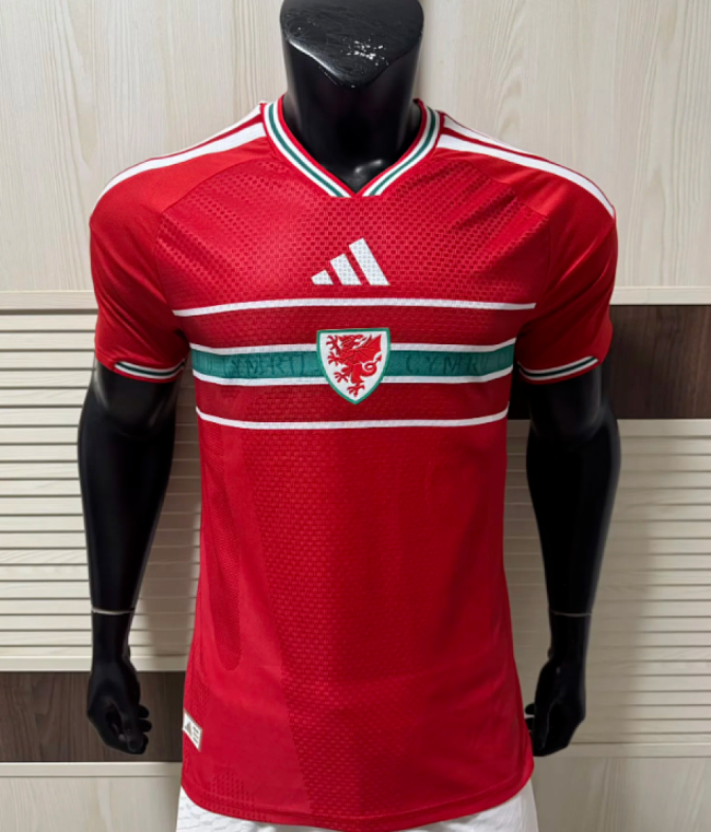Player Version Wales 2026 Home Soccer Jersey Football Shirt