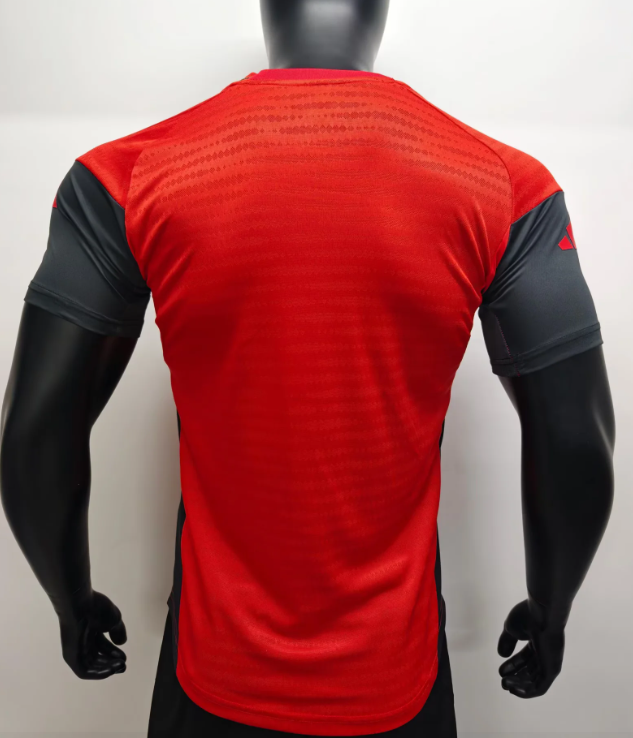 Player Version 2025-2026 Bayern Munich Red Soccer Training Jersey Bayern Munchen Football Shirt
