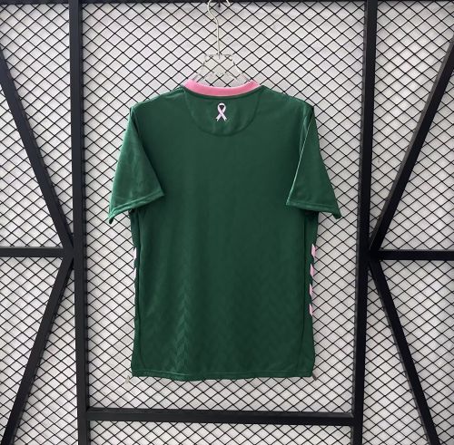 Fan Version 2025-2026 Saint-Étienne Green Special Edition Soccer Jersey Football Shirt