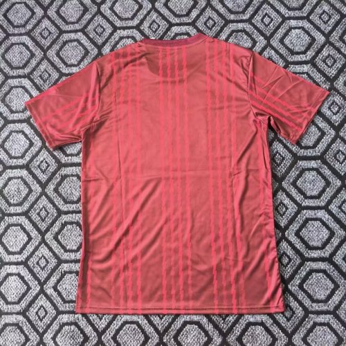 Fan Version Arsenal 2025-2026 Red/White Soccer Training Jersey Football Shirt