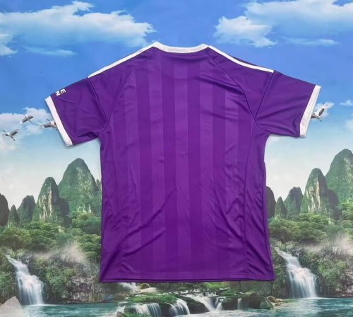 Fan Version 2025-2026 Aston Villa Purple Goalkeeper Football Shirt Soccer Jersey