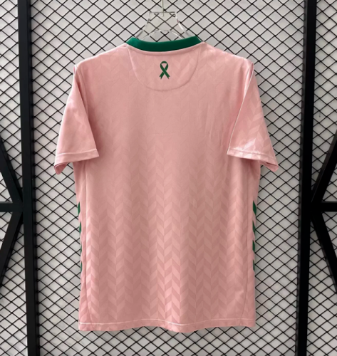 Copy Fan Version 2025-2026 Saint-Étienne Green Special Edition Soccer Jersey Football Shirt