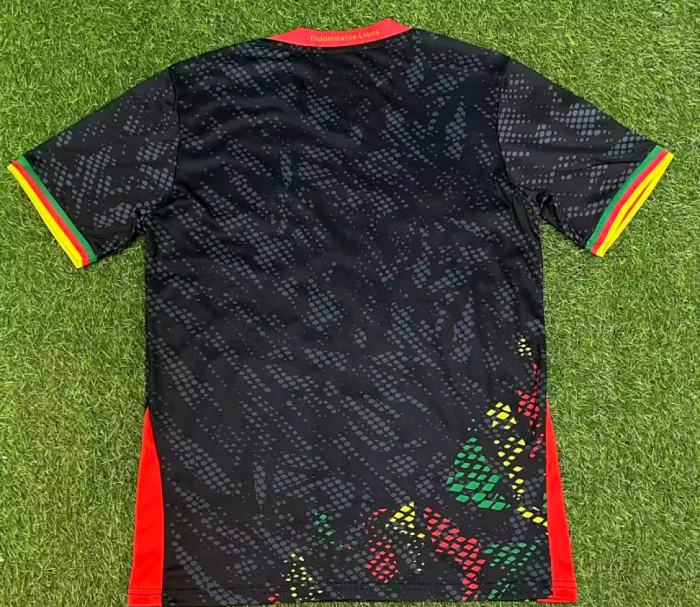 Fan Version 2026 Cameroon Black Soccer Jersey Cameroun Football Shirt
