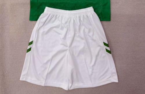 Fan Version 2025-2026 Saint-Étienne Home Soccer Shorts Football Shorts