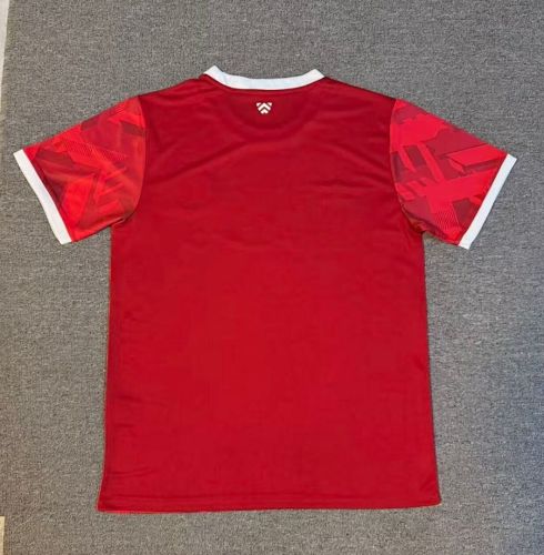 Fan Version 2025-2026 Arminia Bielefeld Third Away Red Soccer Jersey Football Shirt