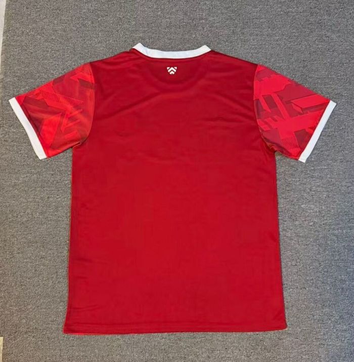 Fan Version 2025-2026 Arminia Bielefeld Third Away Red Soccer Jersey Football Shirt
