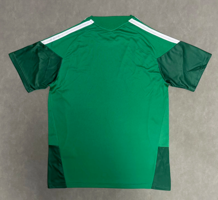Fan Version 2026 Mexico Green Soccer Training Jersey Football Shirt