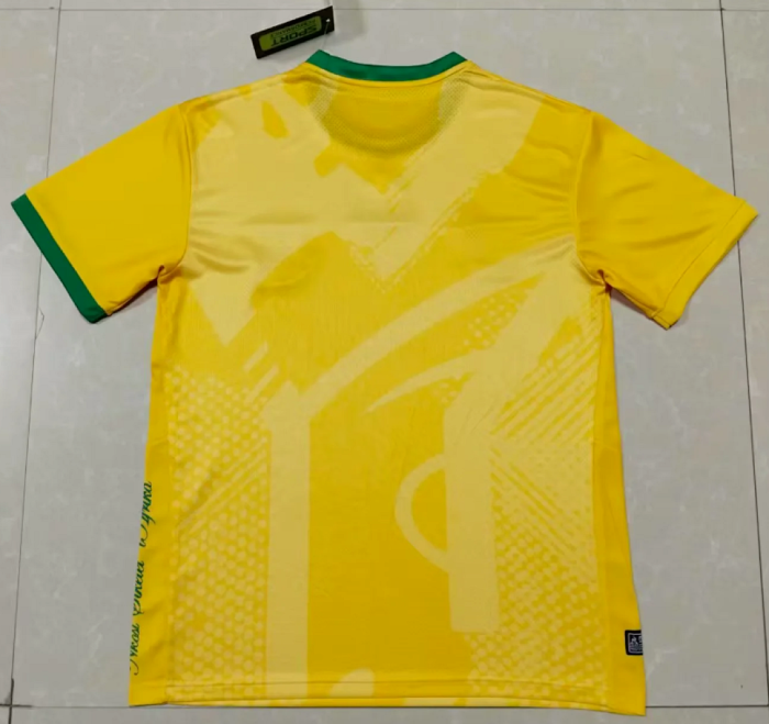 Fan Version 2026 South Africa Home Soccer Jersey Football Shirt