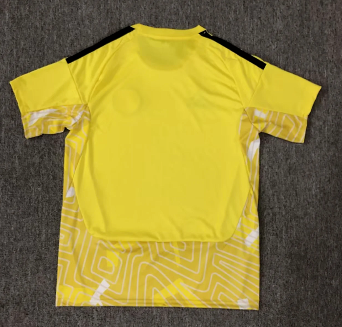Fan Version 2026 Scotland Yellow Goalkeeper Soccer Jersey Football Shirt