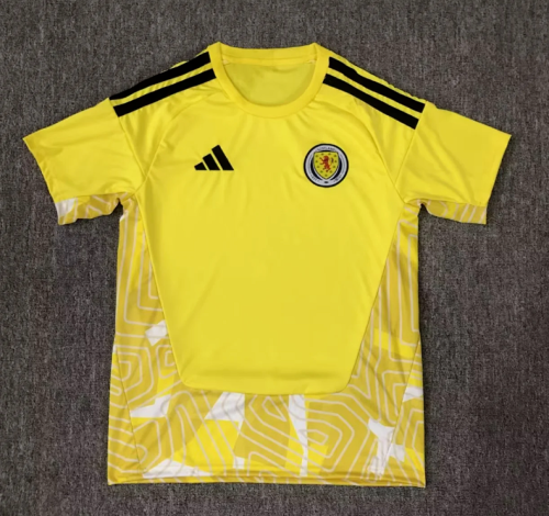 Fan Version 2026 Scotland Yellow Goalkeeper Soccer Jersey Football Shirt