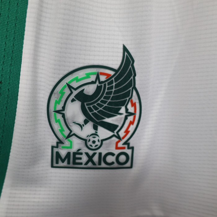 Player Version 2026 Mexico Home Soccer Shorts Football Shorts