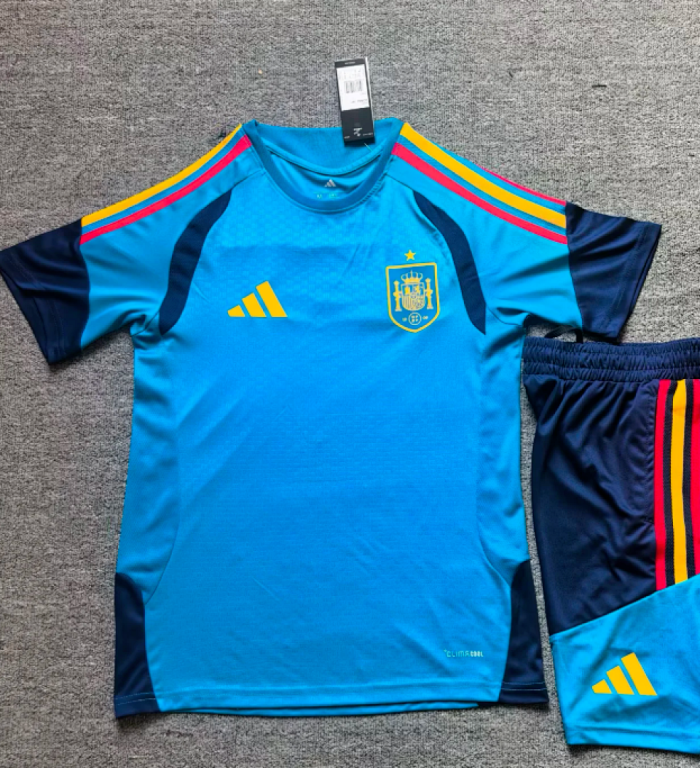 2026 Spain Blue Soccer Training Jersey