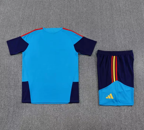 Adult Uniform 2026 Spain Blue Soccer Training Jersey and Shorts Football Kits
