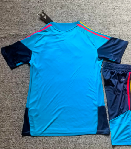 2026 Spain Blue Soccer Training Jersey