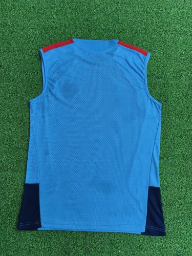 2026 Spain Blue Soccer Vest