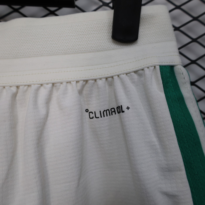 Player Version 2026 Algeria Home Soccer Shorts Football Shorts