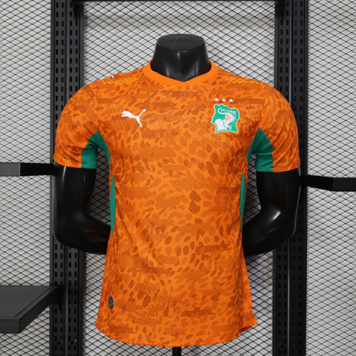 Player Version 2026 Ivory Coast Football Shirt Côte d'Ivoire Home Soccer Jersey