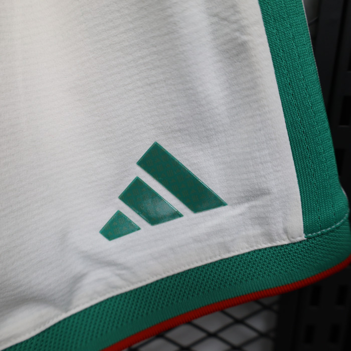 Player Version 2026 Algeria Home Soccer Shorts Football Shorts