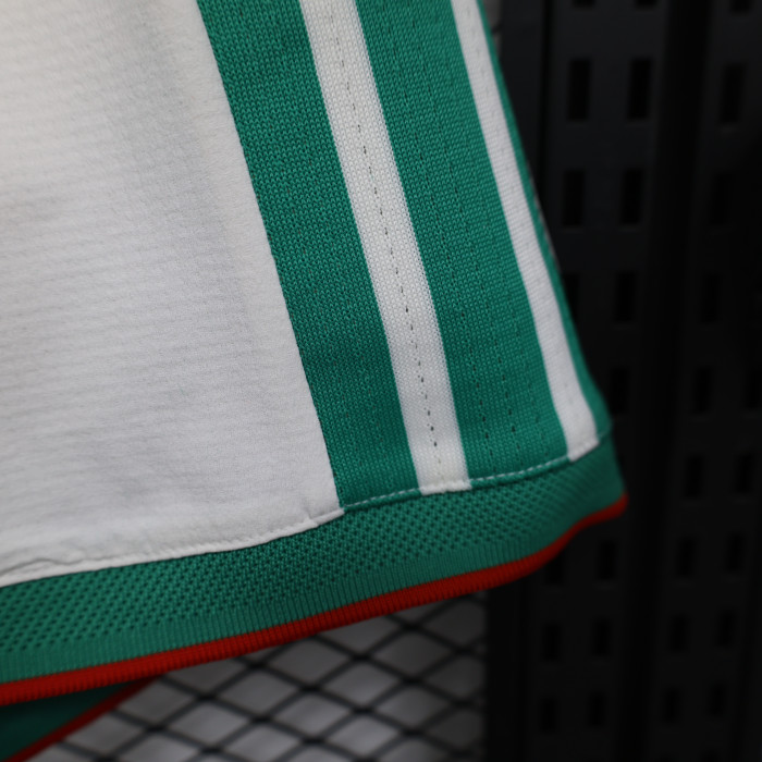 Player Version 2026 Algeria Home Soccer Shorts Football Shorts