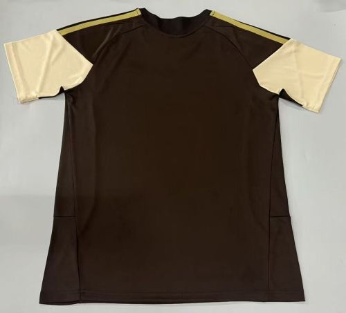 Fan Version 2026-2027 Flamengo Brown Soccer Training Jersey Football Shirt