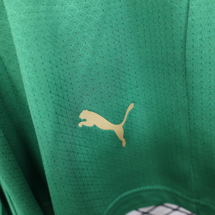 Player Version 2026 Morocco Green Soccer Shorts Football Shorts