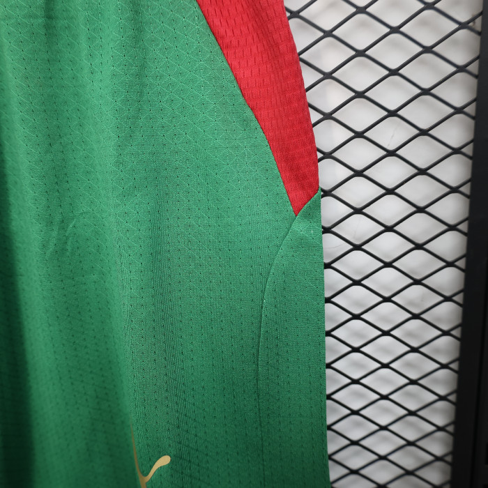 Player Version 2026 Morocco Green Soccer Shorts Football Shorts