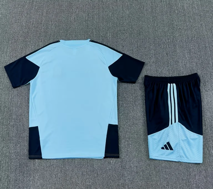 Adult Uniform 2026 Argentina Light Blue Soccer Training Jersey and Shorts Football Kits