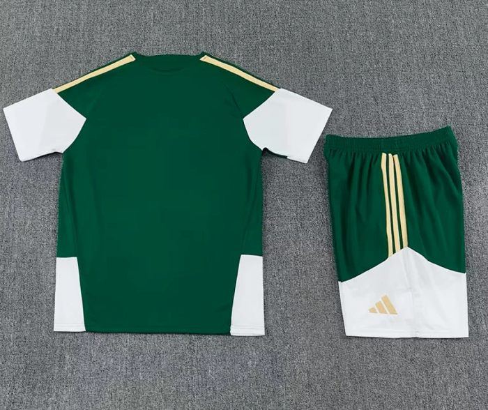 Adult Uniform 2026 Italy Green Soccer Training Jersey and Shorts Football Kits