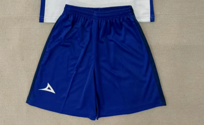 Fan Version 2025-2026 Puebla Home Soccer Shorts Football Shorts