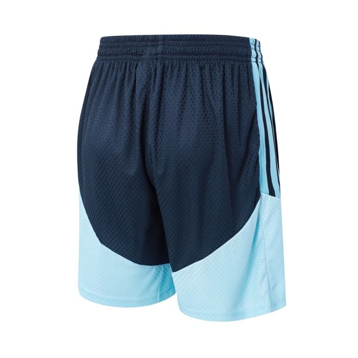 Player Version 2026 Argentina Dark Blue Soccer Training Shorts Football Shorts