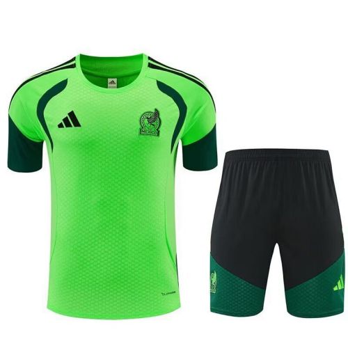 Adult Uniform 2026 Mexico Light Green Soccer Training Jersey and Shorts Football Kits