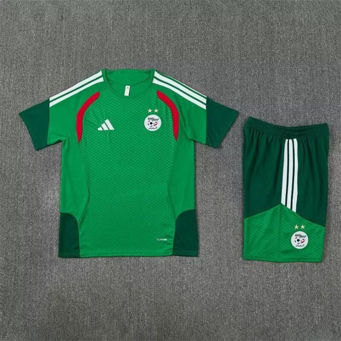 Adult Uniform 2026 Algeria Green Soccer Training Jersey and Shorts Football Kits