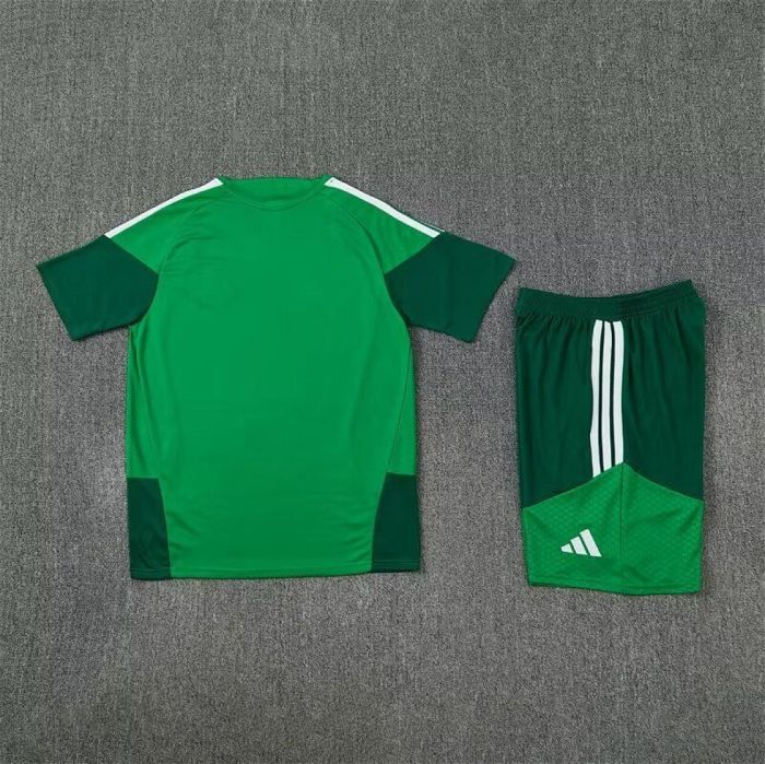 Adult Uniform 2026 Algeria Green Soccer Training Jersey and Shorts Football Kits