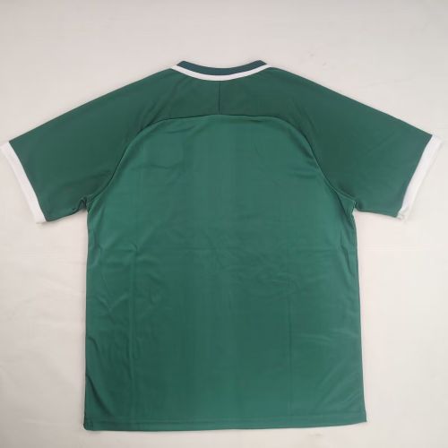 Retro Model 2025-2026 Palestine Green Soccer Jersey FC Palestina Football Shirt