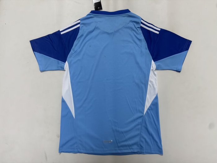 Fan Version 2026 Colombia Blue Goalkeeper Soccer Jersey Columbia Camisetas de Futbol