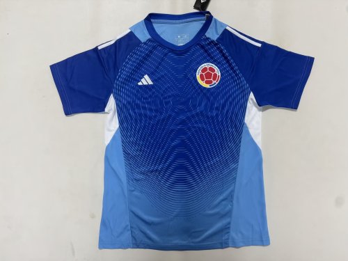Fan Version 2026 Colombia Blue Goalkeeper Soccer Jersey Columbia Camisetas de Futbol