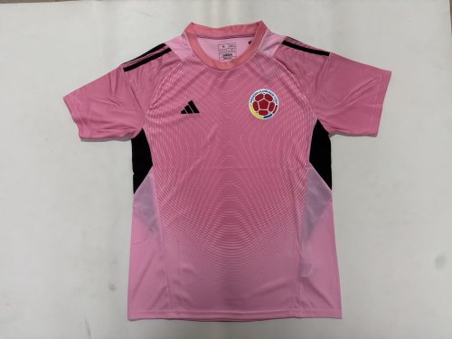 Fan Version 2026 Colombia Pink Goalkeeper Soccer Jersey Columbia Camisetas de Futbol
