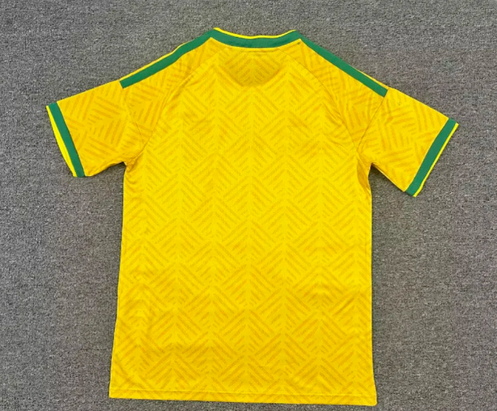 Fan Version 2026 World Cup South Africa Home Soccer Jersey Football Shirt