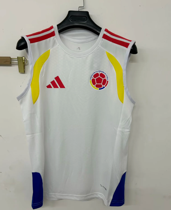 Fan Version 2026 Colombia White Soccer Vest