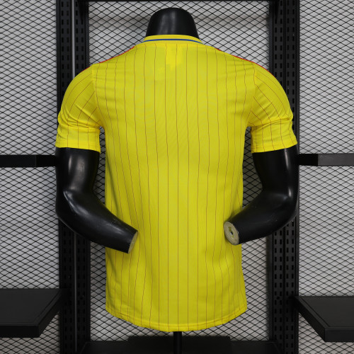 Fan Version 2026 Colombia Yellow Icon Soccer Jersey Camisetas de Futbol