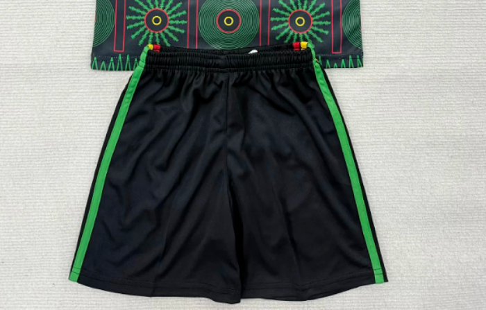 Fan Version 2026 Jamaica Away Soccer Shorts Football Shorts