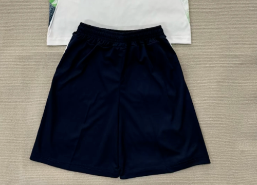 Fan Version 2026 Ireland Away Soccer Shorts Football Shorts