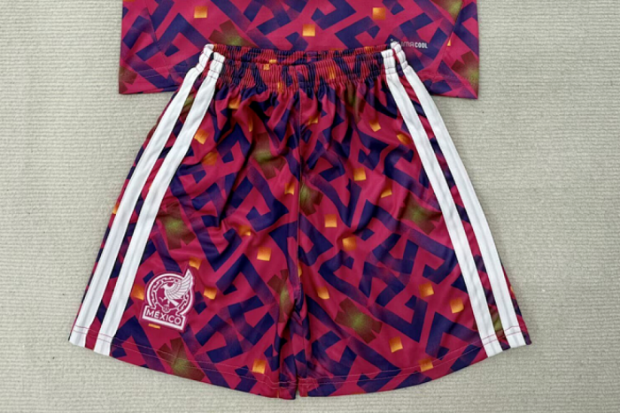 Fan Version 2026 Mexico Pink Goalkeeper Soccer Shorts Football Shorts