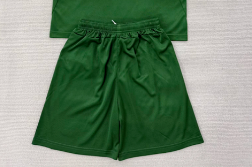 Fan Version 2026 Ireland Home Soccer Shorts Football Shorts